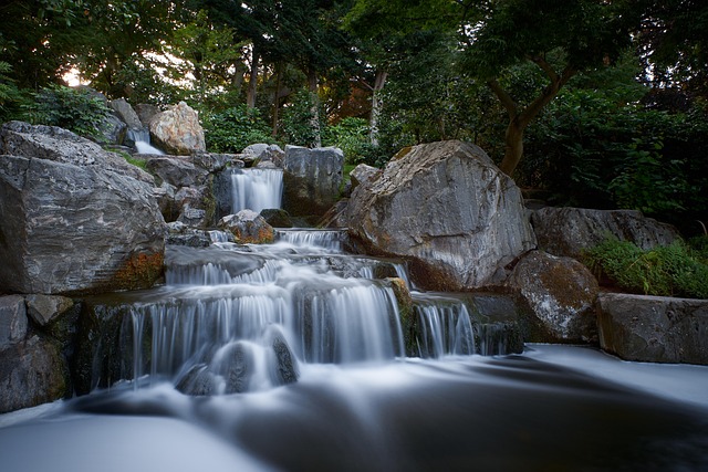 Lush green forest with a waterfall